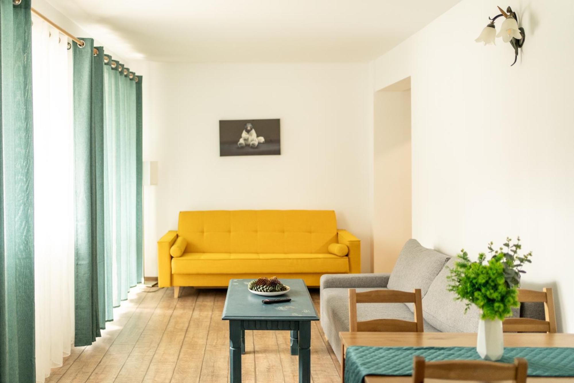 بويانا براسوف Dinvis Apartments المظهر الخارجي الصورة